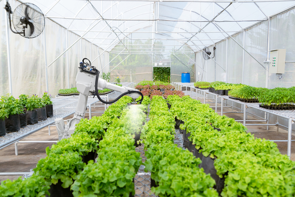 The image shows how plants are grown in greenhouse using technology to assist in agriculture.