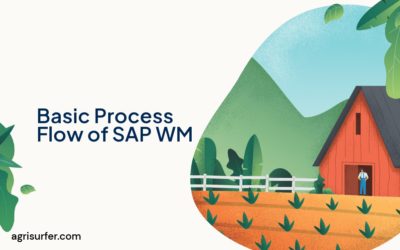 Basic Process Flow of SAP WM