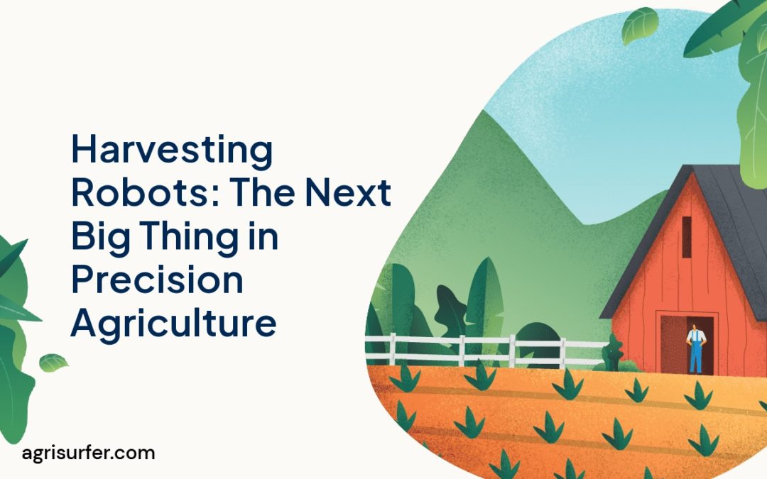 Harvesting Robots: The Next Big Thing in Precision Agriculture