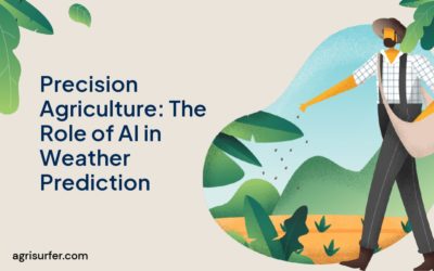 Precision Agriculture: The Role of AI in Weather Prediction