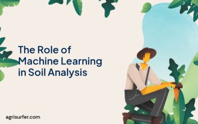 The Role of Machine Learning in Soil Analysis