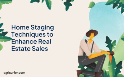 Home Staging Techniques to Enhance Real Estate Sales