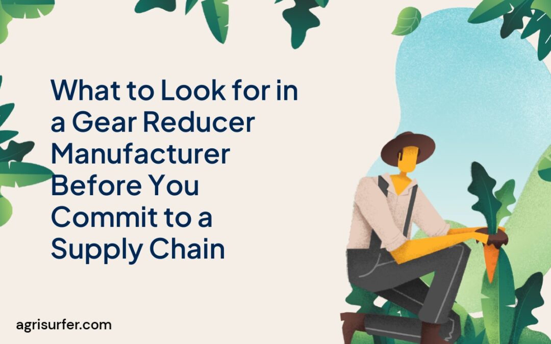 What to Look for in a Gear Reducer Manufacturer Before You Commit to a Supply Chain